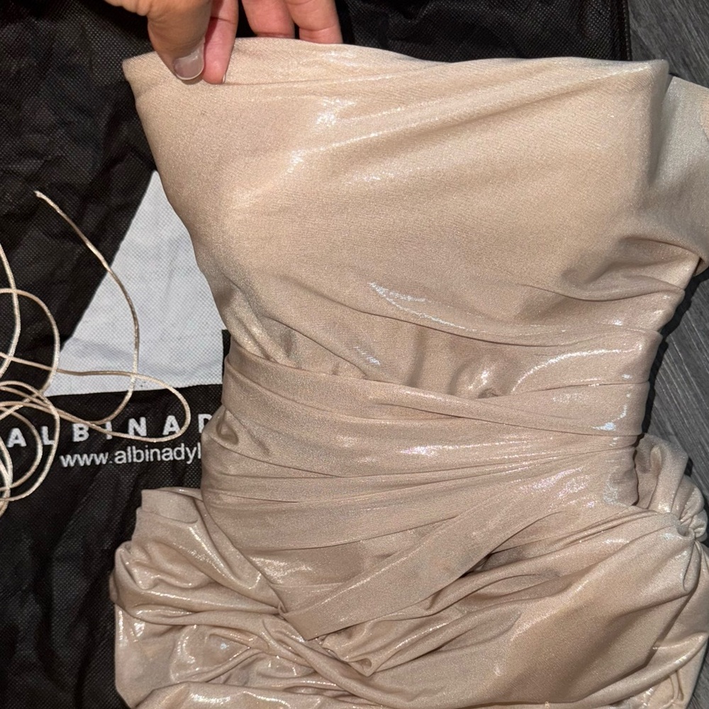 Metallic Nude Corset Dress Albina Dyla